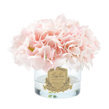 Hydrangea in Round Vessel - Pink Blush - Pink Box - GMH88 (Carton of 4)
